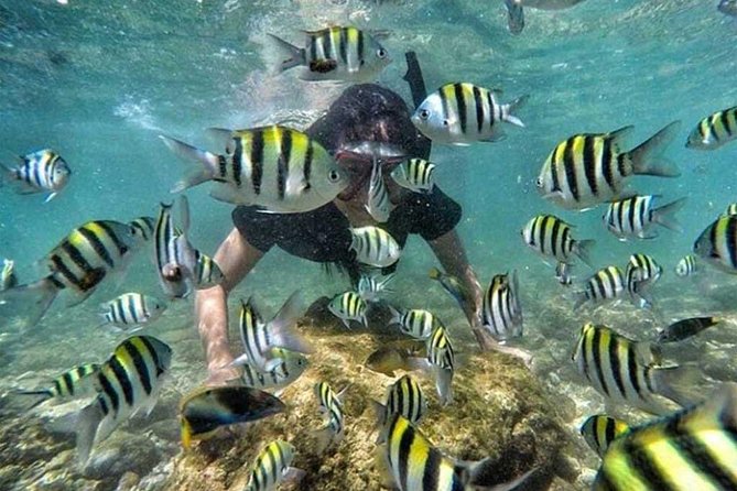 All Inclusive Bali Snorkeling Blue Lagoon tour experience - Bias Tugel Beach at 3:00 PM