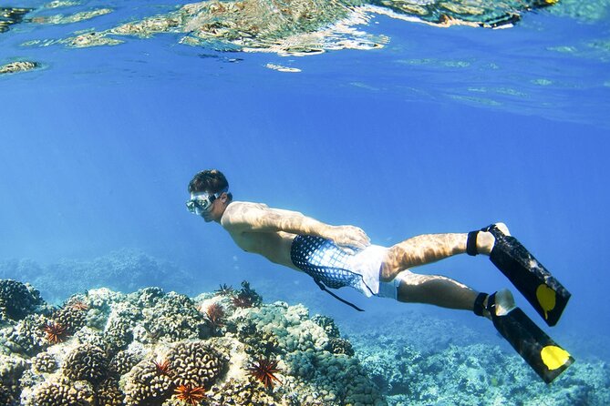 All Inclusive Blue Lagoon Snorkeling with Bali ATV Quad Adventure - The Morning Pickup and Ride Toward Blue Lagoon