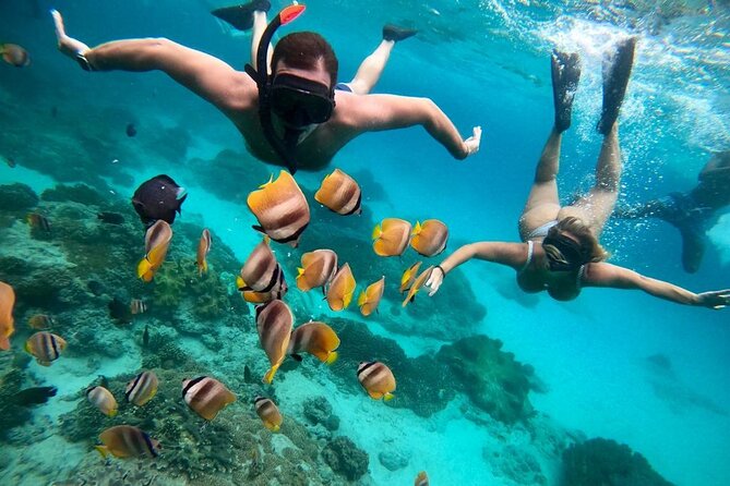 All Inclusive Blue Lagoon Snorkeling with Bali ATV Quad Adventure - Who Will Enjoy This Tour Most