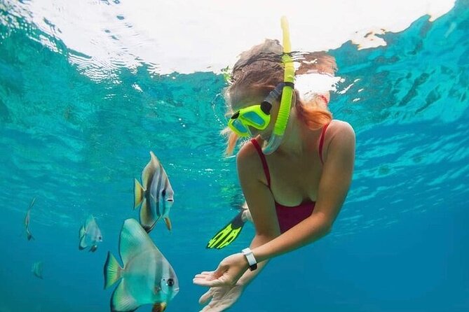 All Inclusive Blue Lagoon Snorkeling with Bali ATV Quad Adventure - The Two-Hour ATV Ride Through Bali’s Interior