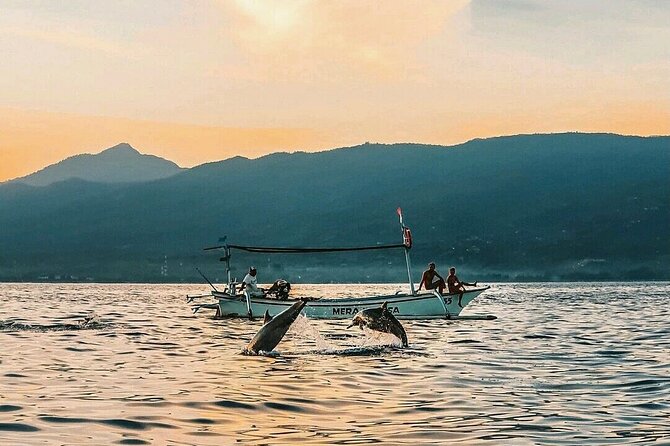 All inclusive Lovina Dolphins Sunrise tour, Waterfall & Temple - What the $89 price really covers