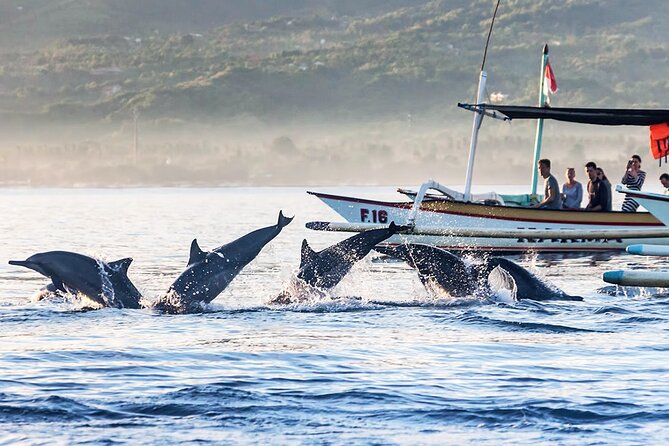 All inclusive Lovina Dolphins Sunrise tour, Waterfall & Temple - My call: book it if North Bali is a priority