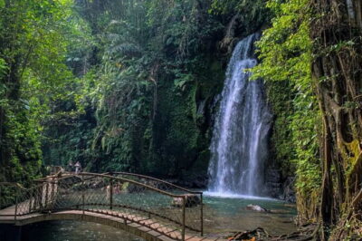 All Inclusive of Ubud Top Attraction