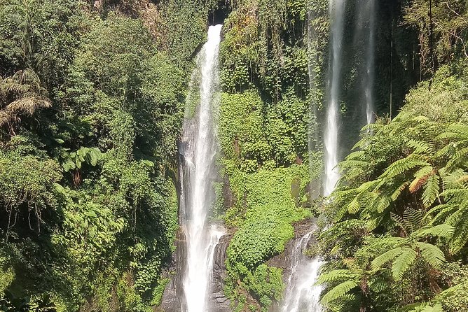 All Inclusive Sekumpul Waterfall Trekking , Handara Gate & Temple - Lunch at a local warung