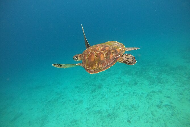 All Inclusive Snorkeling at Blue Lagoon with Lunch - The road to Padang Bai and the private pickup