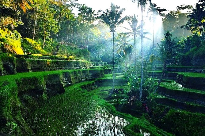 [All Inclusive] The Soul of Bali: Temples, Art & Traditions Tour - Entering the 11th-century Goa Gajah temple