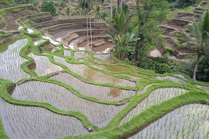 [All Inclusive] The Soul of Bali: Temples, Art & Traditions Tour - Pickup areas and the time cost of crossing Bali