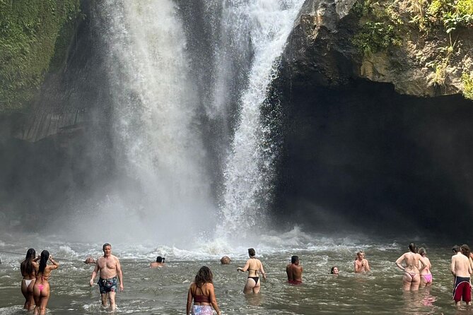 All Inclusive Ubud Cultural and Natural Highlights Tour - Tegalalang Rice Terrace and the jungle swing