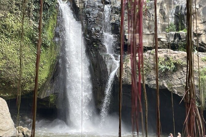 All Inclusive Ubud Cultural and Natural Highlights Tour - Balinese life at the Gung Aji traditional house