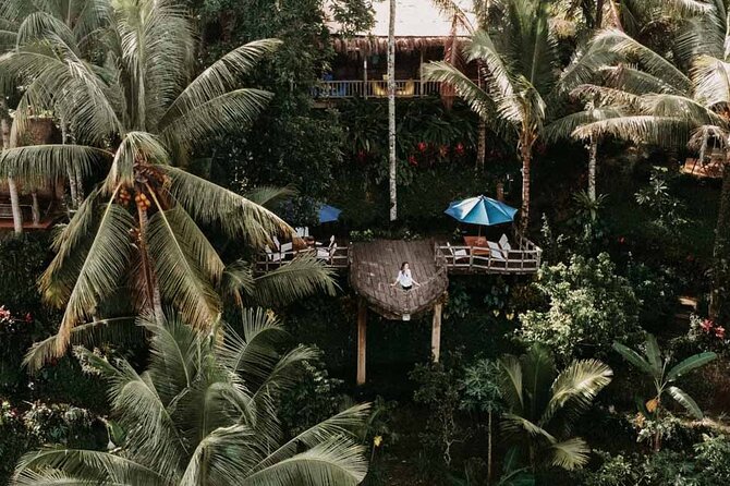All-Inclusive Ubud Private Tour - Reading Bali’s rice terraces at Tegalalang