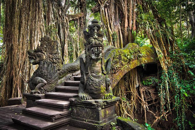 All-Inclusive Ubud Private Tour - Lunch, jungle views, and the included swing