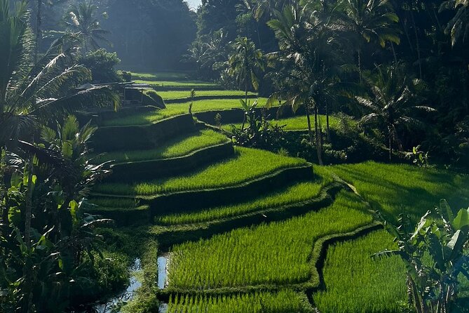 All Inclusive Ubud Tour - What this Ubud day is really designed to do