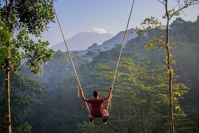 All Inclusives Bali Private Tour Temples Palaces and Nature - Why This East Bali Route Works