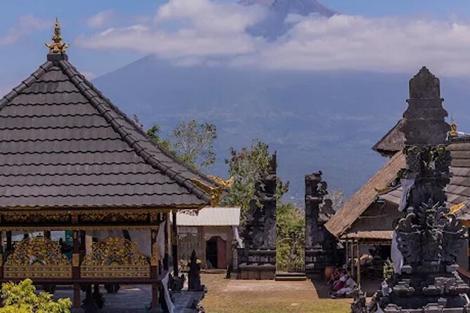 All Inclusives Bali Private Tour Temples Palaces and Nature - The Optional Lereng Agung Swing