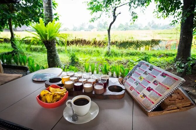 All Inclusives Bali Private Tour Temples Palaces and Nature - What $113 Buys You