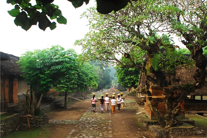Amazing Private East Bali Full-Day Tour - Ujung Water Palace and the final royal setting