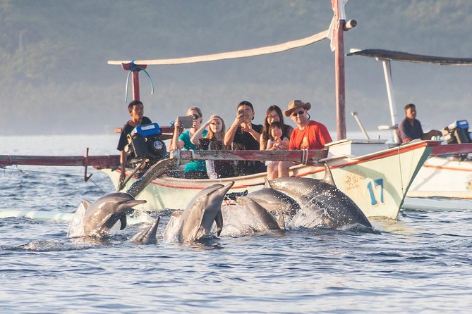 Amazing Private Tours: Dolphins Lovina and Gitgit Waterfall include Lunch - Gitgit Waterfall Adds a Forest Stop