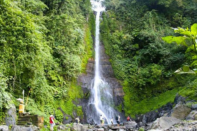 Amazing Private Tours: Dolphins Lovina and Gitgit Waterfall include Lunch - Lunch and Candikuning Market