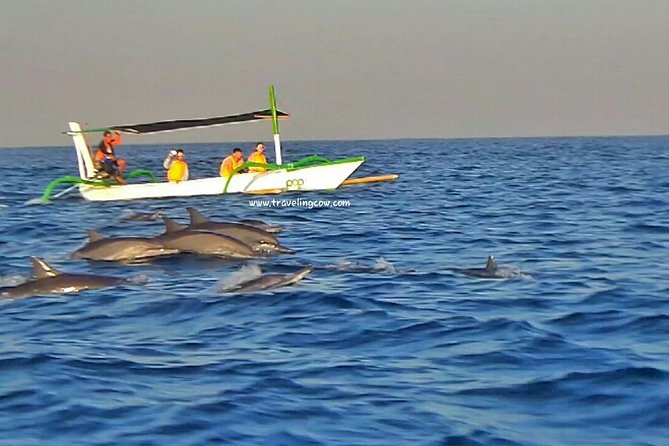 Amazing Private Tours: Dolphins Lovina and Gitgit Waterfall include Lunch - What the Private Format Changes