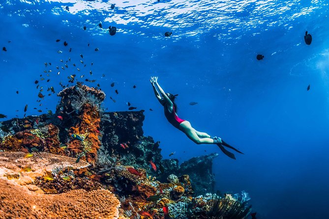 Amed Bali Snorkelling: Japanese Shipwreck & Vienna Beach Tour - Key points to know before booking