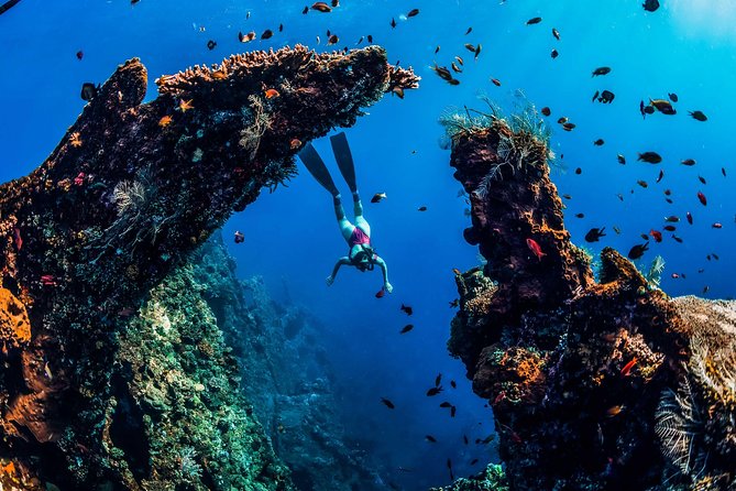Amed Bali Snorkelling: Japanese Shipwreck & Vienna Beach Tour - Vienna Beach brings a calmer final stop