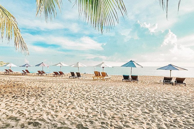 Amed Bali Snorkelling: Japanese Shipwreck & Vienna Beach Tour - Is $44 a fair price?