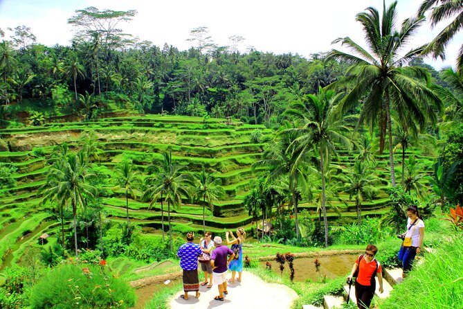 ATV Quad Bike with Kintamani Volcano Tour - All Inclusive - What This Bali Day Tour Is Really Like