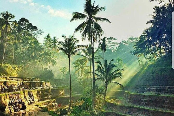 ATV Ride & Ubud Tour - Why this Bali combination works