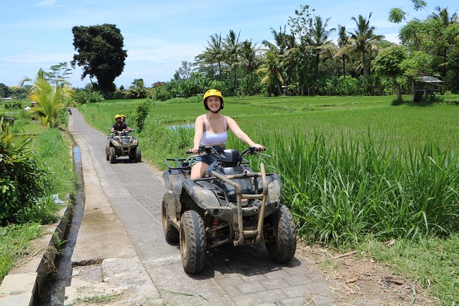 ATV Tour with Monkey Forest Experience in Bali - Sangeh Monkey Forest and its old pala trees