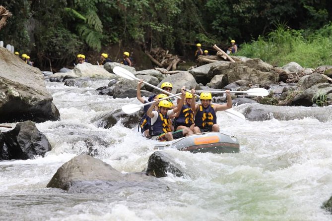 ATV Ubud and Ayung River Rafting - Rafting the Ayung River from Kedewatan