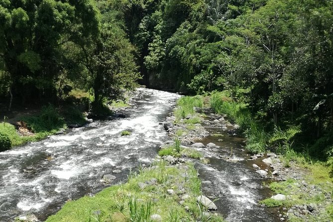 Ayung Rafting Ubud (Include Lunch & Return Transportation) - Who should book this Ayung River trip?