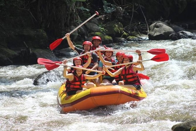 Ayung River Half-Day White Water Rafting Bali in Ubud - What the $28 price really covers