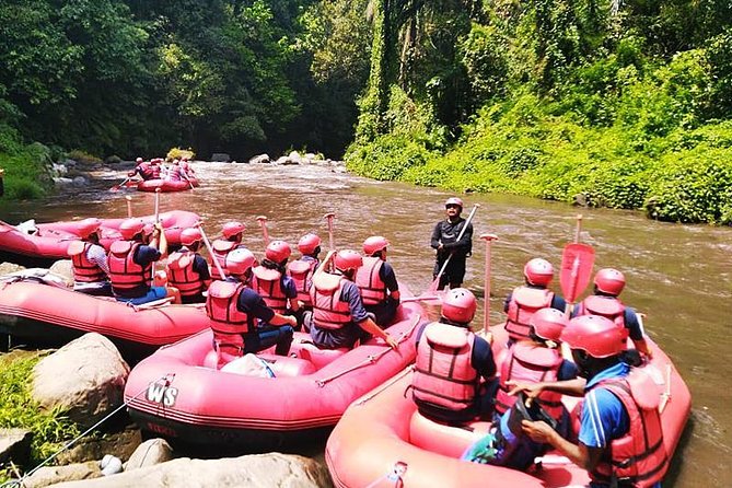 Ayung River Half-Day White Water Rafting Bali in Ubud - The valley access is part of the workout