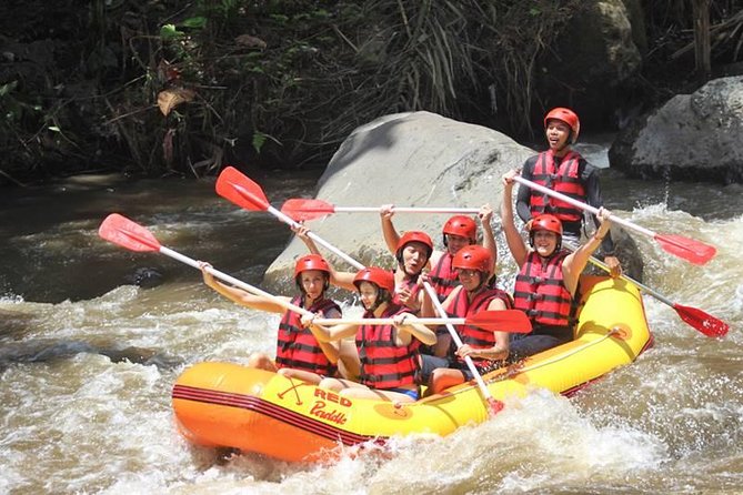 Ayung River Half-Day White Water Rafting Bali in Ubud - Lunch, showers, and the return to Ubud