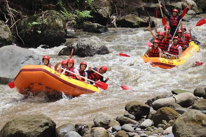 Ayung River Half-Day White Water Rafting Bali in Ubud - The people who make the day work