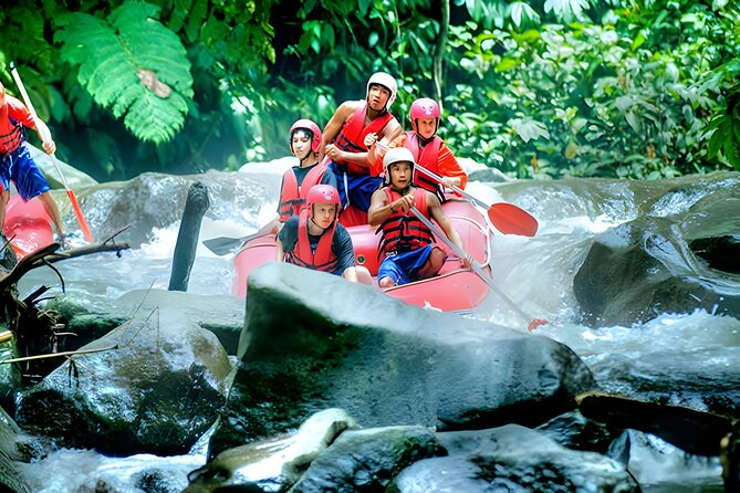Ayung River Rafting - Ubud Best White Water Rafting - Key points to know before booking