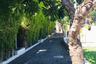 Backlanes and Hidden Sites: A Self-Guided Audio Tour in Seminyak