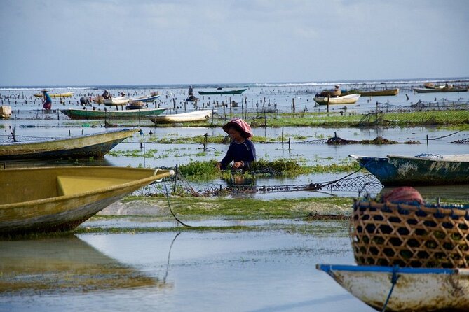 Bali 2 Days and 1 Nights of Nusa Penida and Lembongan Tour - Who should book this island combination?