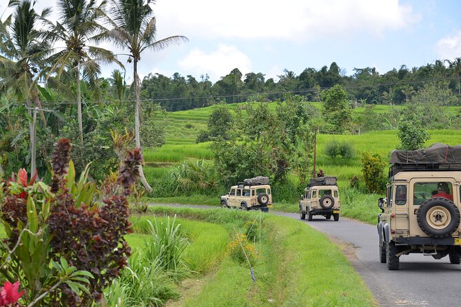 Bali 4WD Adventure WakaLand UNESCO Jatiluwih Trip in Bali Outback - Key points to know before booking