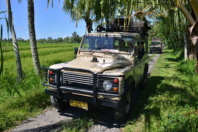 Bali 4WD Adventure WakaLand UNESCO Jatiluwih Trip in Bali Outback - Batukaru adds a sacred finish