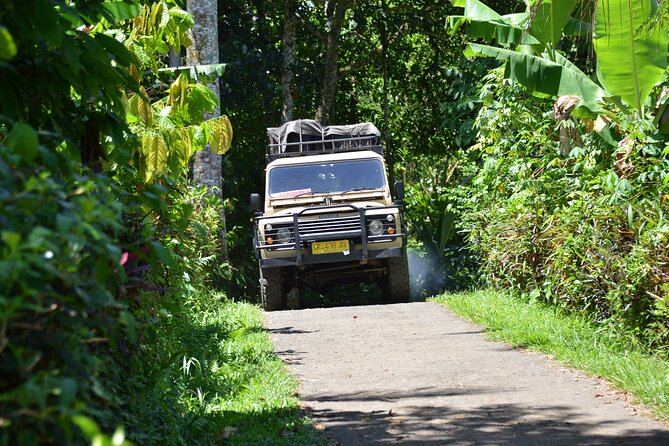 Bali 4WD Adventure WakaLand UNESCO Jatiluwih Trip in Bali Outback - Who gets the best value from $115.39