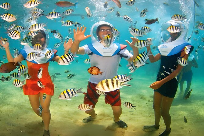 Bali Activity: Bali Sea Walking in Nusa Dua Ocean - What the mixed service record means for you