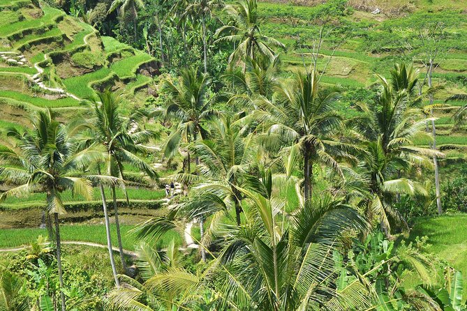 Bali Airport Arrival Transfer and Private Car Charter Combo - Choosing a sensible Bali route