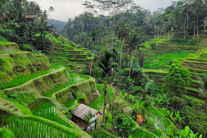Bali Airport Pickup Transfer to Ubud Area (Private) - A private car instead of a shared shuttle