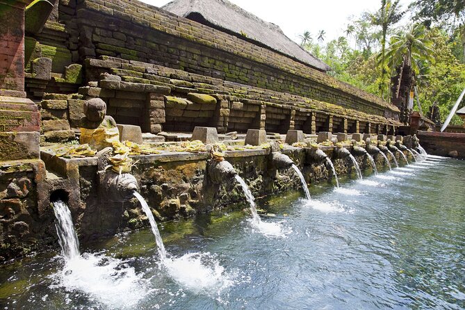 Bali All-Inclusive: Ubud Tour with Entrance Ticket and Lunch Included - What the $66.97 Price Really Covers