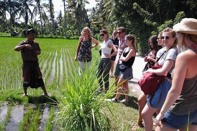 Bali Amazing Cooking Class - Entering a Balinese Family Home