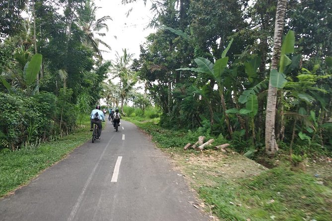Bali Amazing Cycling Tour - Why this route gives you more than a bike ride