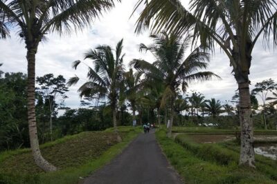 Bali Amazing Cycling Tour