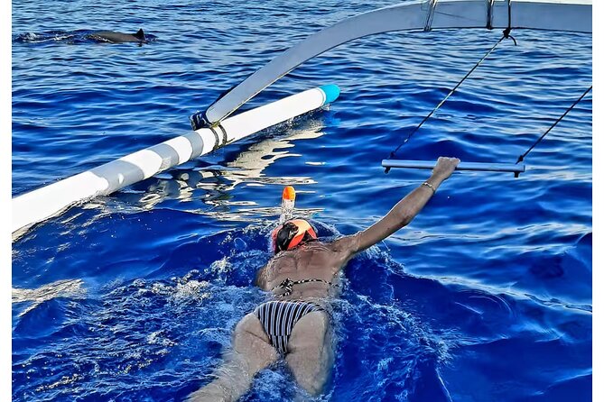 Bali and Lovina with Sunrise Dolphin Tour and Snorkeling - Why Lovina makes sense for a dolphin morning