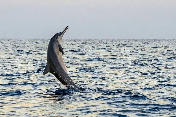Bali and Lovina with Sunrise Dolphin Tour and Snorkeling - Breakfast and the small comforts included